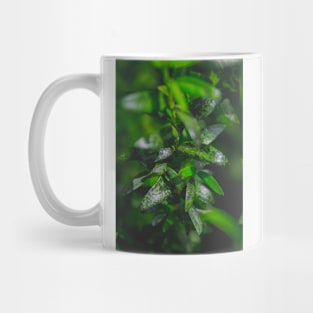 Green Leaves Mug